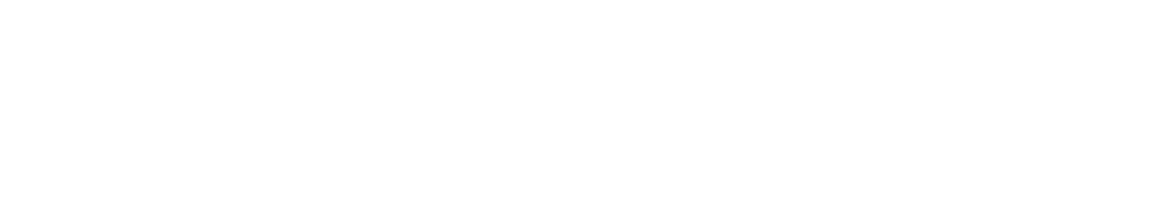 Denkirs — логотип