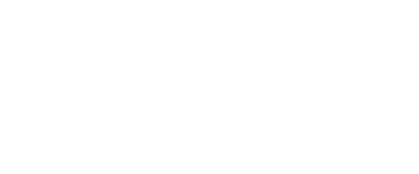 ST Luce — логотип